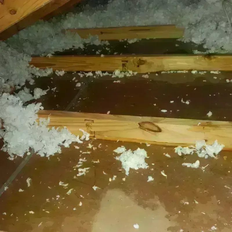 Attic Water Damage in Ashville, AL