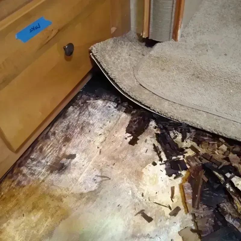 Wood Floor Water Damage in Ashville, AL